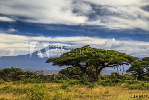 Picture of Beautiful African landscape on the background of Kilimanjaro Ke